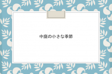 ギャラリーサムネイル：...の写真